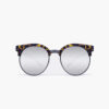 Temple Sunglasses